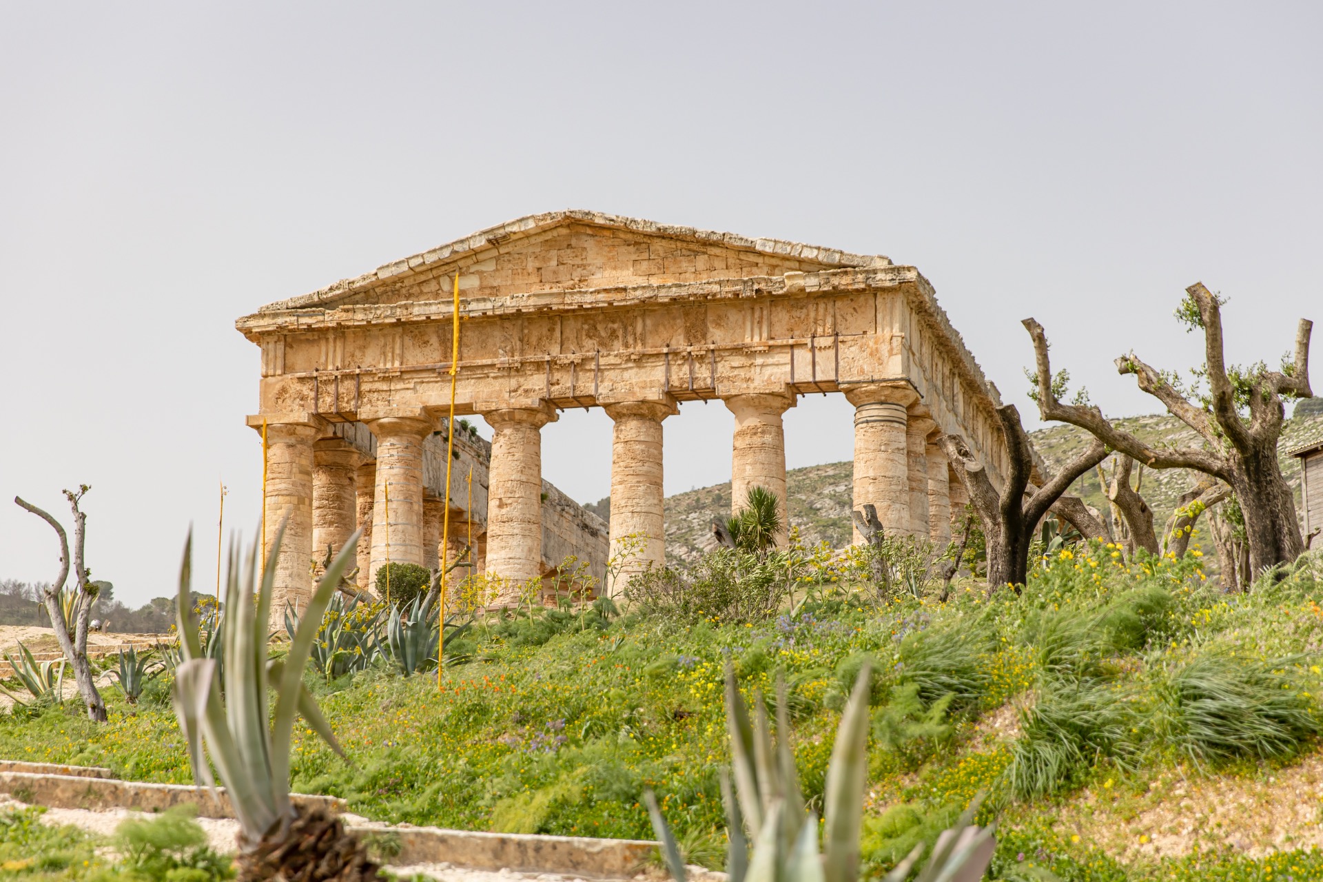 Segesta